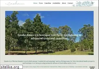 emahotrees.com.au