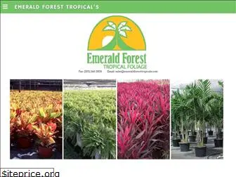 emeraldforesttropicals.com