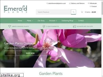 emeraldplants.co.uk