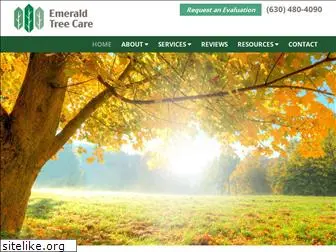 emeraldtreecarellc.com