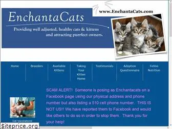 enchantacats.com