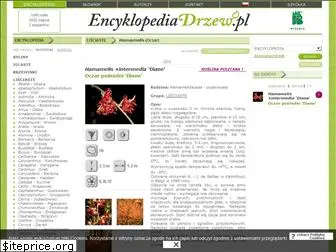 encyklopediadrzew.pl