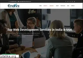 endivesoftware.com