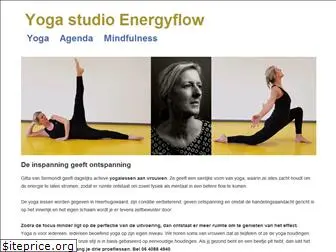energyflow.nl