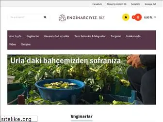 enginarciyiz.biz