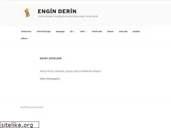 enginderin.com