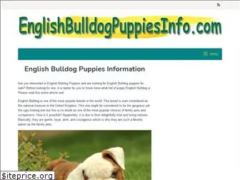 www.englishbulldogpuppiesinfo.com