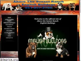 englishbulldogsnow.com