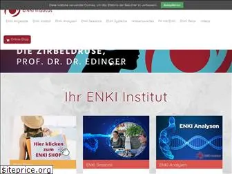 enki-institut.com