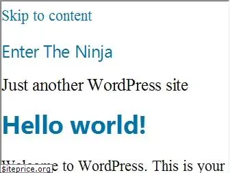 entertheninja.com