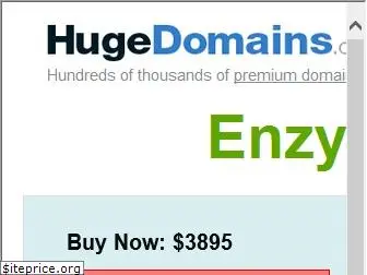 enzyhub.com