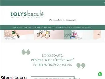 eolys-b2b.com