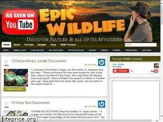 epicadamwildlife.com