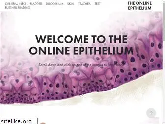epithelium3d.com