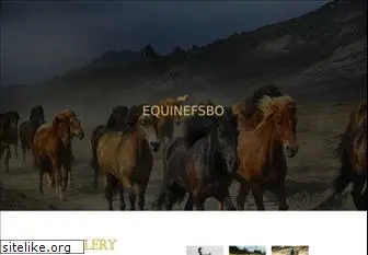 equinefsbo.com