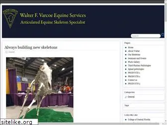 equineskeletons.com