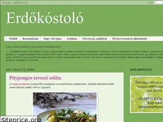 erdokostolo.blogspot.com