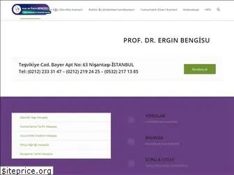 erginbengisu.com