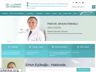 erhuneyuboglu.com