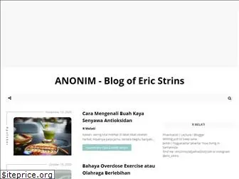 ericstrins.com