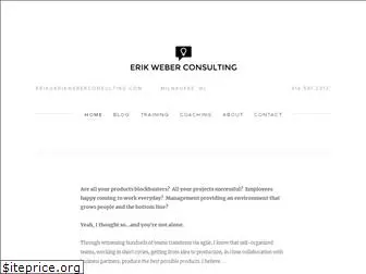 erikweberconsulting.com