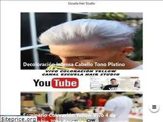 escuelahairstudio.com.ar