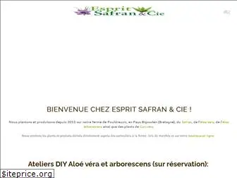 esprit-safran-et-cie.com