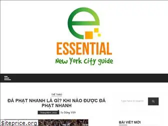 essential-new-york-city-guide.com