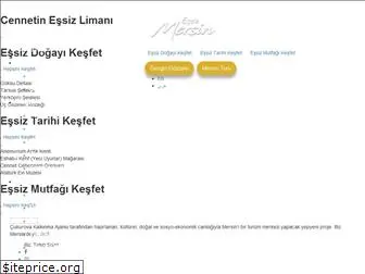 essizmersin.com