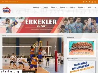 esvoleybol.com