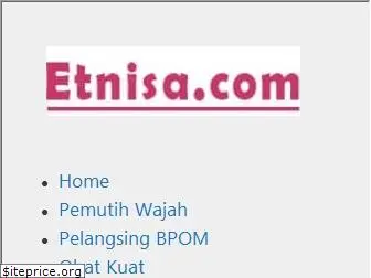 etnisa.com