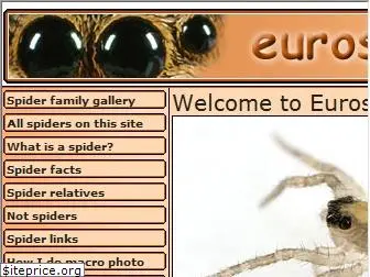 eurospiders.com