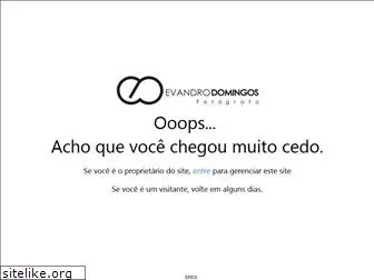 evandrodomingos.com.br
