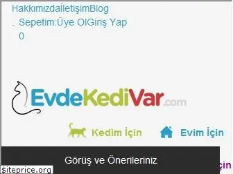 evdekedivar.com