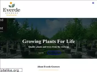 everde.com