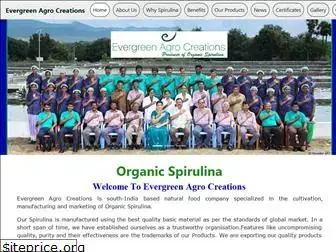 evergreenagrocreations.com