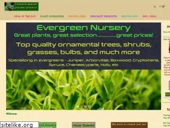 evergreenplantnursery.com