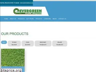 evergreenturf.co.za