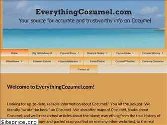 everythingcozumel.com