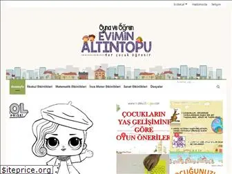 eviminaltintopu.com