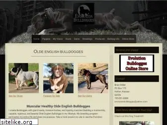 evolutionbulldogges.com