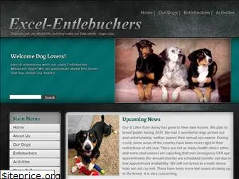 excelentlebucher.com