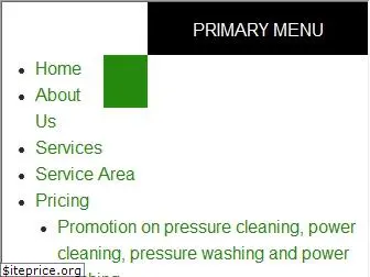 excelsiorpowercleaning.com