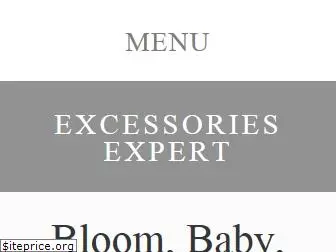 excessoriesexpert.com