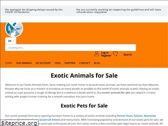 exoticanimalshop.com