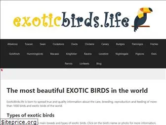 exoticbirds.life