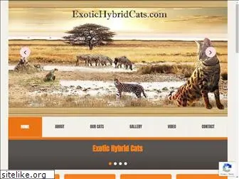 exotichybridcats.com