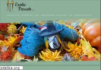 exoticparrots.net