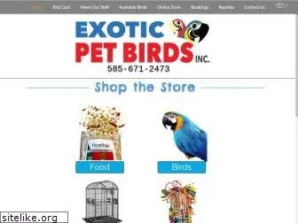 exoticpetbirdsrochester.com