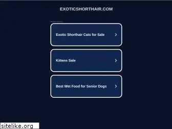 exoticshorthair.com